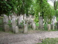 Ž hřbitov 1